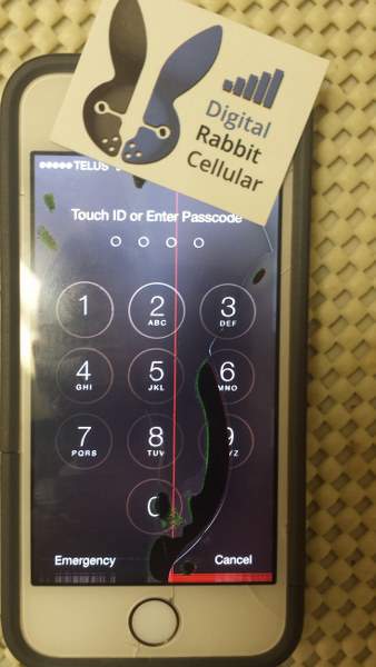 LCD broken iPhone 5S