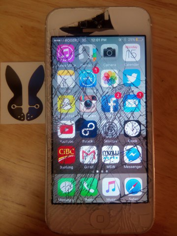 professional iPhone repair